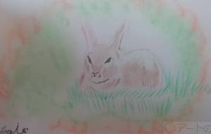 はるこいちごくろーばー - サオリ