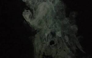 白夜愛し白鳥の妄想、蝿 - 真鍋哲地