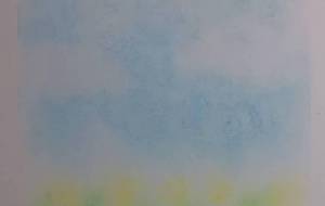 菜の花畑 - サオリ