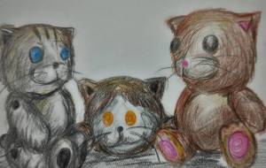 ぬいぐるみねこ - とよ