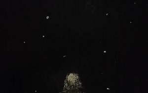 静かな音色、神様蛍るが泣いてる - 真鍋哲地