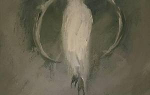 ぼく、は怪物女性、パーソナリティ - 真鍋哲地