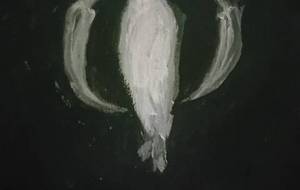 蝶、山びこ幻聴、愛してる - 真鍋哲地