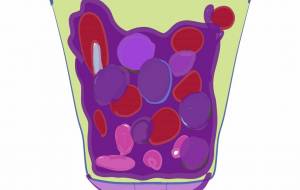 ミキサー - 香織