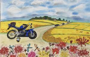 彼岸花 - 赤﨑ゆみ子