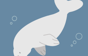 ジュゴン - おるた ひかる