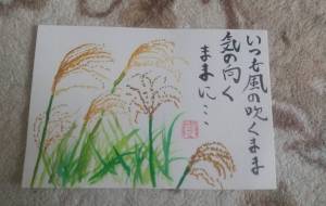 ススキ - 菅井良翔