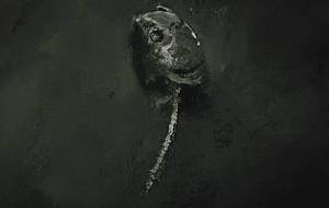 統合失調症、情熱写実絵画作品(イワシ) - 真鍋哲地