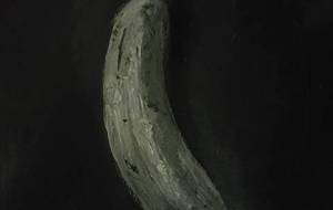 熟したバナナ、どこかお年よりのようです - 真鍋哲地