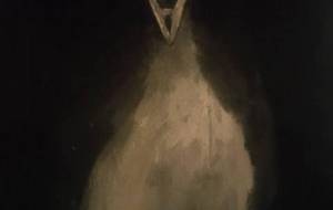 洗濯バサミ白鳥(誤飲してプラステック異物を食べて死んでく鳥達、動物達) - 真鍋哲地