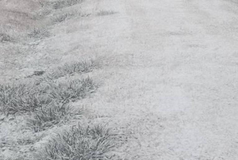 心身と降る雪精神障害を癒して、彼女（男と女の友情！） - 真鍋哲地 