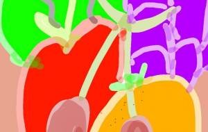 水菓子たち - トゥー・A・ルルカ