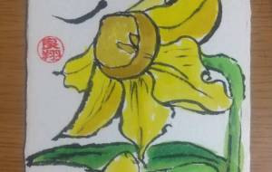 ラッパ水仙 - 菅井良翔