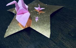 鶴の親子 - yukito