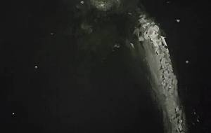 光の粒子点描、(また逢えるね) - 真鍋哲地