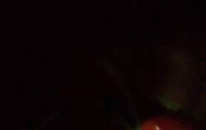 精神障害実食ドキュメント、イスタレーションアート豆苗 - 真鍋哲地