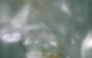 スナックお菓子、弟愛インスタレーション - 真鍋哲地