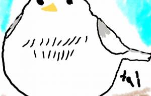 シマエナガ - tai