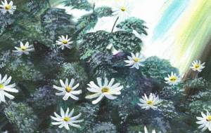 白菊の花 - 工房はんど Yuki