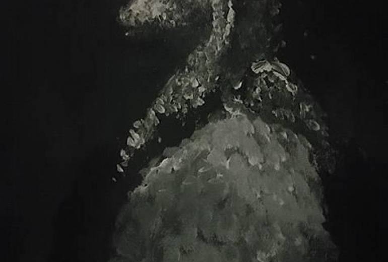 我、金狼犬アヌビス！神点描作品