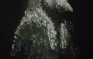 神聖ホルス点描 - 真鍋哲地