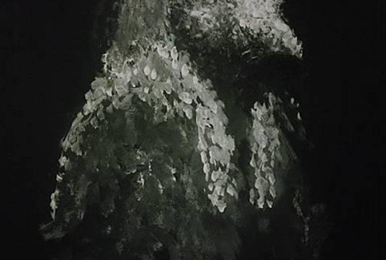 神聖ホルス点描