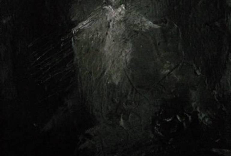 しょうがない（無才能）