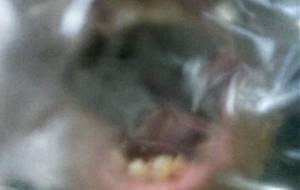 苦しい、僕は貧困の湖に - 真鍋哲地