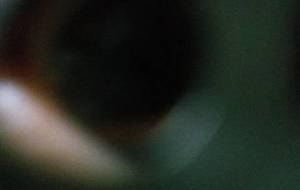 魚眼的僕の瞳 - 真鍋哲地