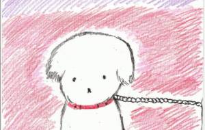 つながれた犬 - 社容尊悟