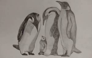 ペンギン - 伊藤恵美里