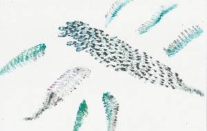 とりどりの羽 - 社容尊悟