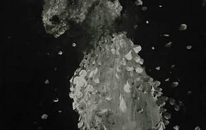 シャボン玉パッチンと消えた - 真鍋哲地