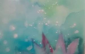 泉の蓮の花 - サオリ 