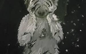 傷だらけの溝ネズミ - 真鍋哲地