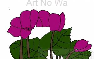 シクラメンの花 -