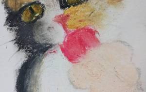 三毛猫 - あおい