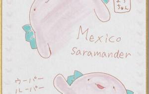 ウーパールーパー - 社容尊悟