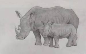 サイの親子 - 伊藤恵美里