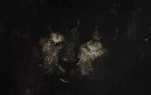 寂しいょ、君の瞳、愛してるよ - 真鍋哲地