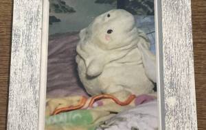 かわいいぬいぐるみ ぺちゃ - 社容尊悟