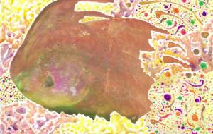 想い - やまざき