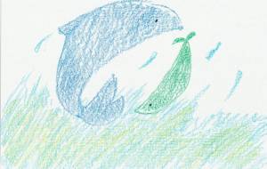 幻想魚 - 社容尊悟