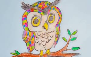 フクロウ - 聖羽SEIHA