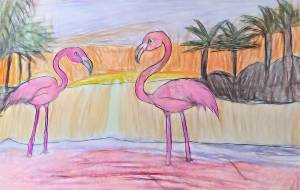 フラミンゴ - 聖羽SEIHA