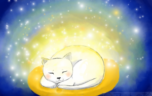 ふわふわ猫 - 百瀬 ひろこ
