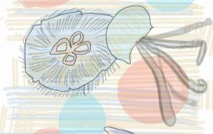 クラゲ - とん