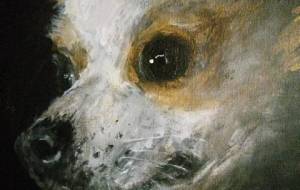 咲く一輪の花ピノちゃん! - 真鍋哲地