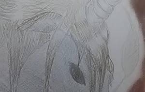 ユニコーン - サオリ