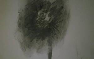 黒く燃え上がる黒い情熱向日葵、全てを真っ黒に - 真鍋哲地